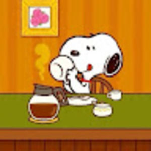 Meet your Posher, Kristine